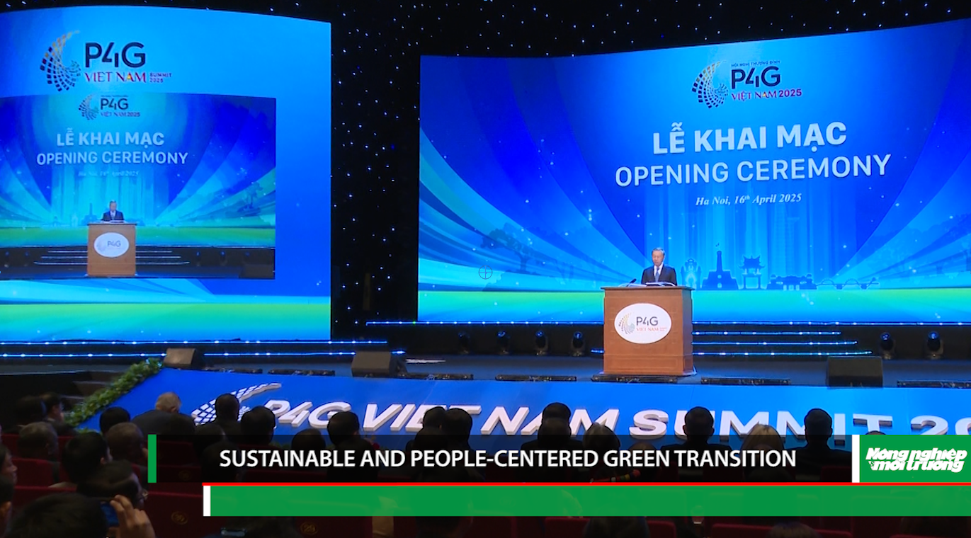 Sustainable and People-Centered Green Transition